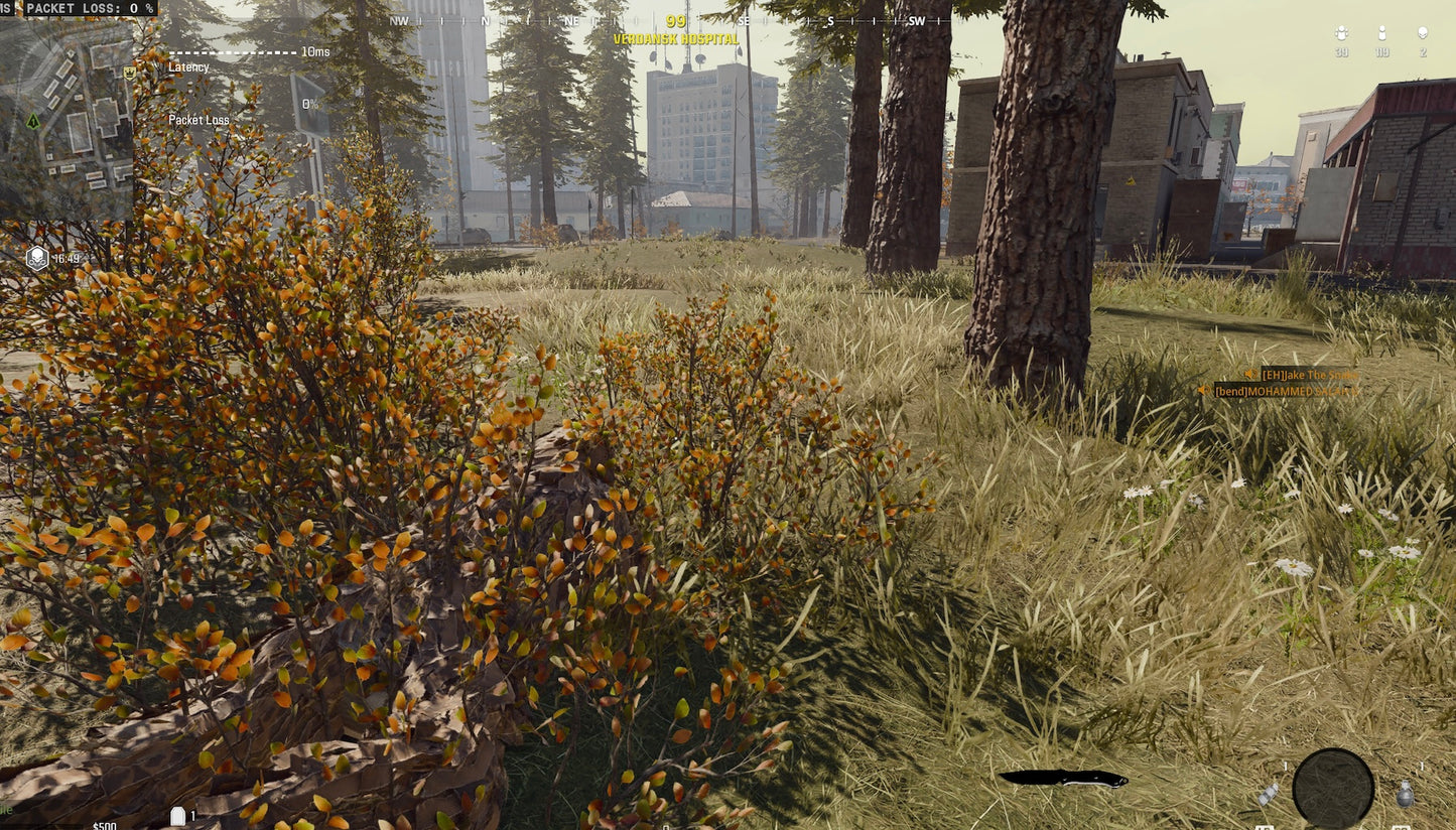 Sasquatch Ghillie Suit Skin Item