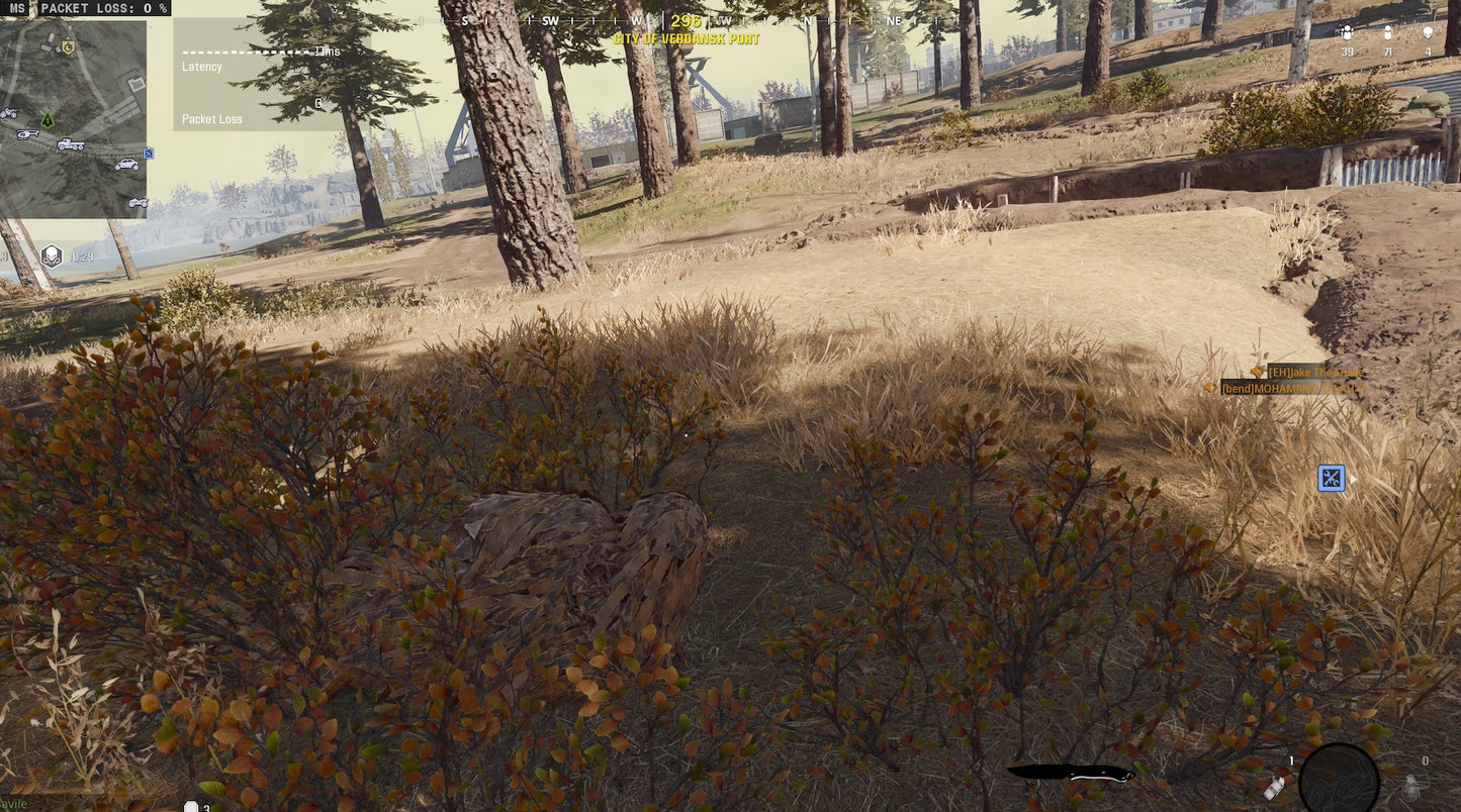 Sasquatch Ghillie Suit Skin Item
